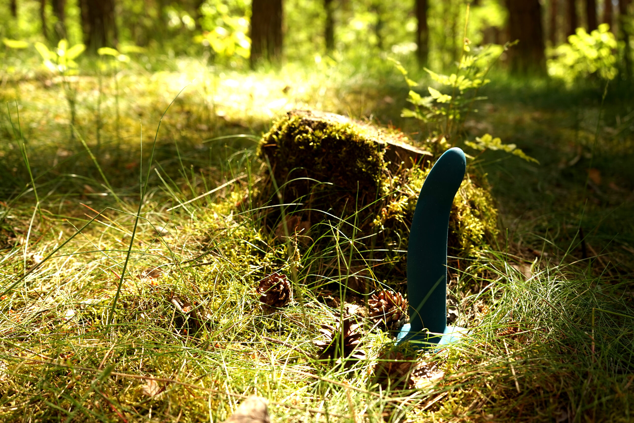 Dildo ready for Pegging in the Forest